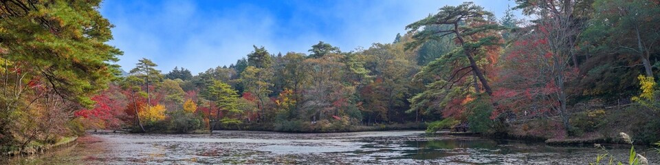 青空バックに見る紅葉と池のパノラマ情景＠神戸、兵庫