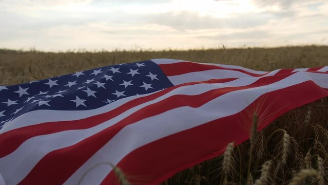 Close-up of a big usa flag lies on the ears of wheat in the field