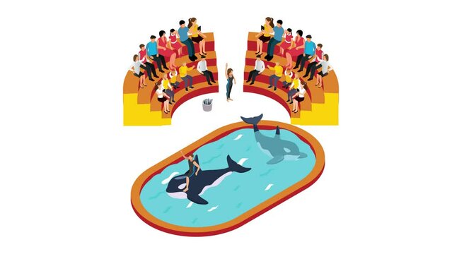 Crowded people watching killer whales show in zoo