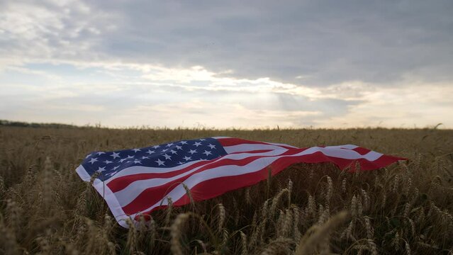 Big usa flag lies on the ears of wheat in the field