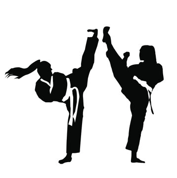 Taekwondo Logos Images – Browse 5,176 Stock Photos, Vectors, and Video |  Adobe Stock