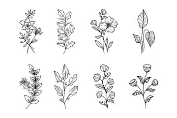 Hand drawn vector design floral elements