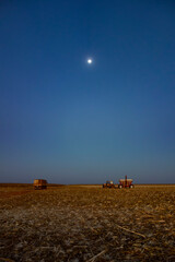 Fototapeta premium Brazilian corn field after harvest