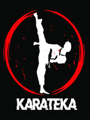 karate kici logo vector