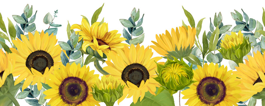 Seamless border with sunflowers, eucalyptus. Hand drawn watercolor images