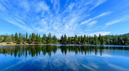 Panoramic scenic view of Lake Tabeaud surrounded by pine and cedar trees under beautiful blue sky - Powered by Adobe