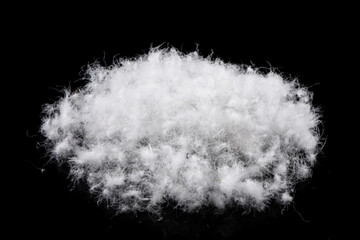 soft fluffy white down feather on black background.