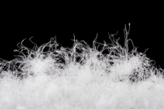 soft fluffy white down feather on black background.