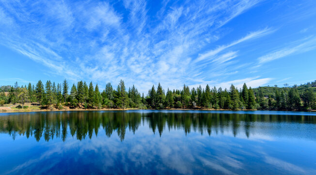 Panoramic Scenic View Of Lake Tabeaud Surrounded By Pine And Cedar Trees Under Beautiful Blue Sky