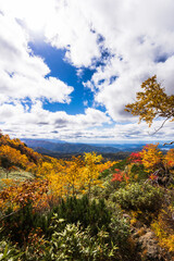 北海道旭岳の登山道、日本一早い紅葉