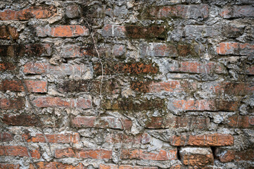 Brick Wall Background Texture