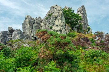 Fototapeta na wymiar Roche Rock,ruins of Chapel,surrounded by green summer countryside,Roche,Cornwall,England,United Kingdom.