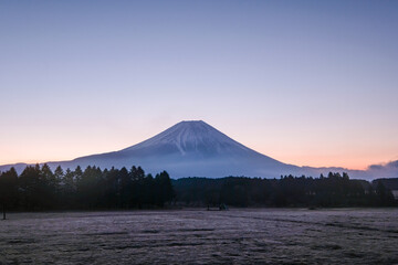 Fototapeta premium 静岡県富士宮市朝霧高原のキャンプ場からの富士山と日の出