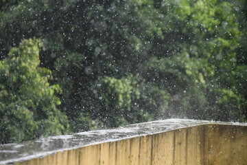 Fototapeta premium rainy summer day