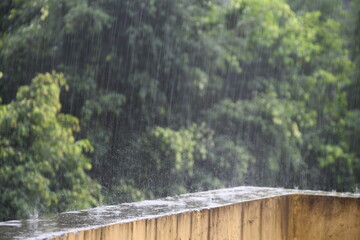 Fototapeta premium rainy summer day