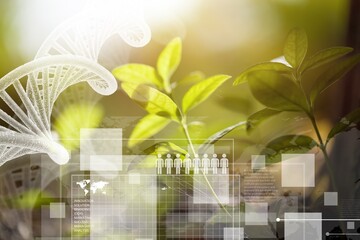 Leaf plant and environment research, DNA, Biology laboratory nature and science.