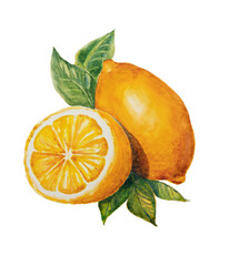 Lemon fruit with leaves