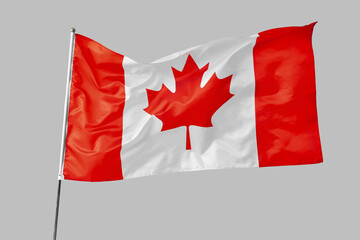 Waving flag of Canada on light background