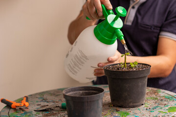 Black pot Water plant with sprinkler watering can