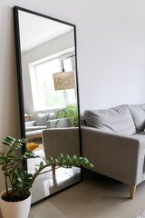Mirror, houseplant and sofa near light wall in living room