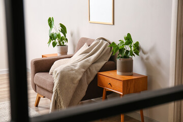 Soft armchair and wooden tables with houseplants near light wall