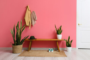 Houseplants and wooden bench near pink wall in hall