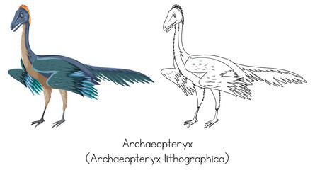 Dinosaur sketching of archaeopteryx