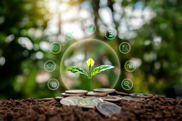 sapling or plant growing on a pile of coins and business icons economic growth concept