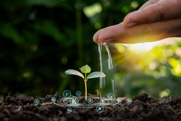 Tree growing on soil with nutrients essential for plant growth and hands irrigating trees Earth Day...