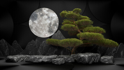 bonsai tree with moon on a stone dark. black background for product presentation.3d rendering
