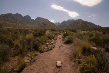 Hiking along the yellow grassland. View of the footpath along the meadow and into the mountains, in a sunny day. 