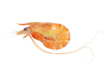 Cooked tiger shrimp isolated on white background	