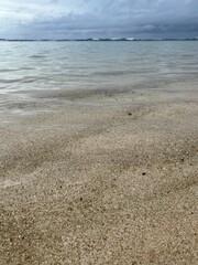 sea beach on the sand