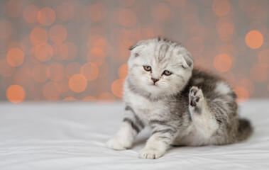 A small gray kitten of a marble color sitting on a white blanket and itches with a paw against the...