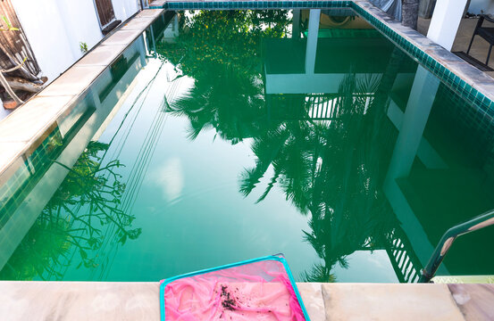 Green pool, water treatment, algae growing in pool water, pool cleaning service, dirty water, tropical pool