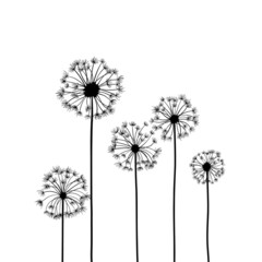 Wildflowers dandelion field, drawing, line art vector illustration. Set of isolated on white plants in outline style