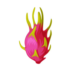 Dragon Fruit as Thailand Symbol and Famous Object Vector Illustration