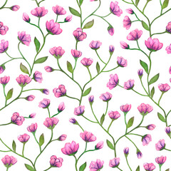 Seamless pattern with pink flowers, leaves and stems on a white background. Painted in watercolor.
