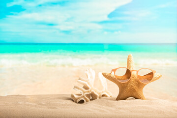 Fototapeta na wymiar Beach background, sun glasses, shell and starfish.