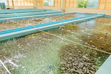 Seaweed or macro algae indoor cultivation farm 