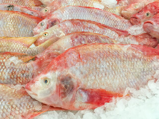Red nile tilapia, freshwater fish in the market