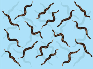 Snake Animation Royal Python Seamless Wallpaper Background