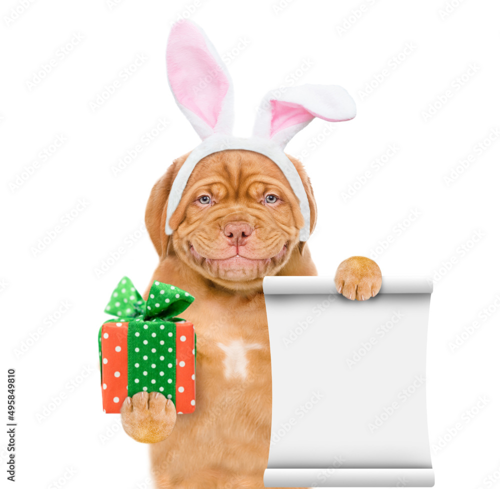 Poster smiling puppy wearing easter rabbits ears holds gift box and shows empty list. isolated on white bac