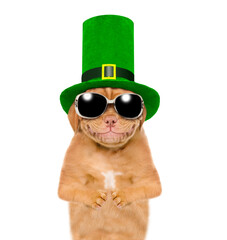 St Patrick's Day concept. Portrait of a funny Mastiff puppy wearing sunglasses and hat of the...