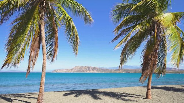Green coconut palms on a sandy tropical beach. Turquoise sea under bright blue sky. Journey to a tropical paradise. Rest on the deserted coast of the Caribbean peninsula.