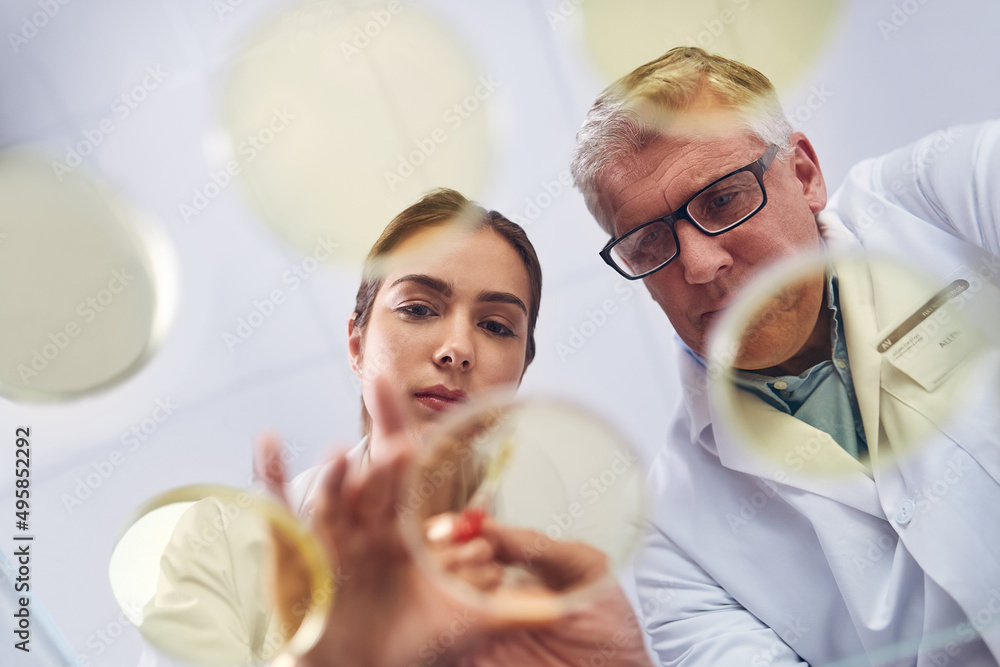 Aufkleber They have a new theory to test out. Low angle shot of two scientists conducting an experiment in a lab.