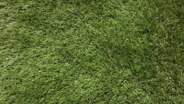 Blurred vision of ball in children's game