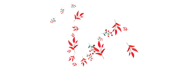 Burgundy Berries Background White Vector. Leaf Decor Design. Red Foliage. Green Rowan Isolated. Image Illustration.