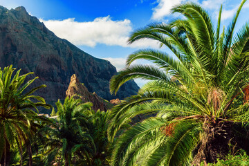Fototapeta na wymiar Masca village, the most visited tourist attraction of Tenerife, Spain