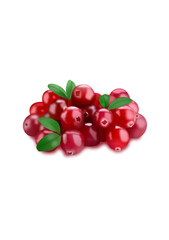 Cranberry
